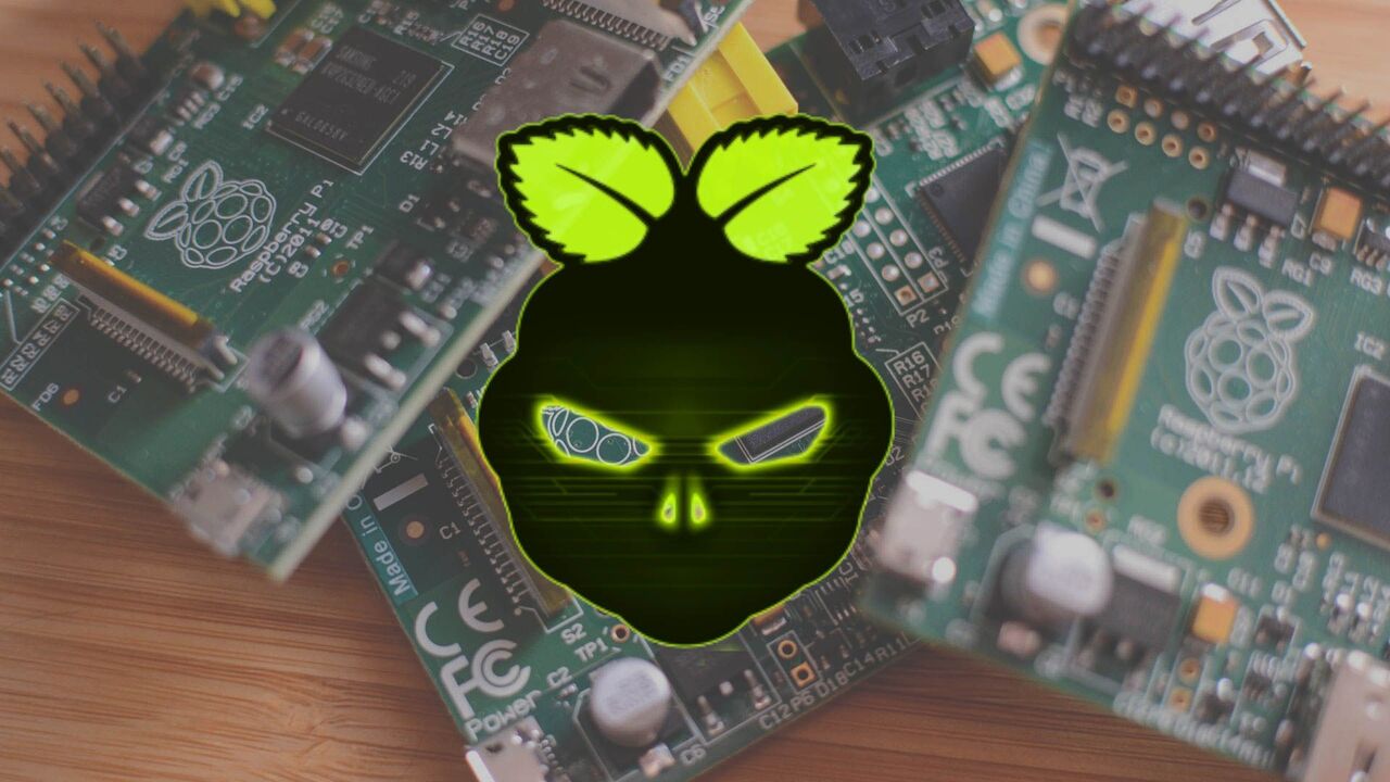 Raspberry Pi デバイスの山の上に DietPi のロゴ。