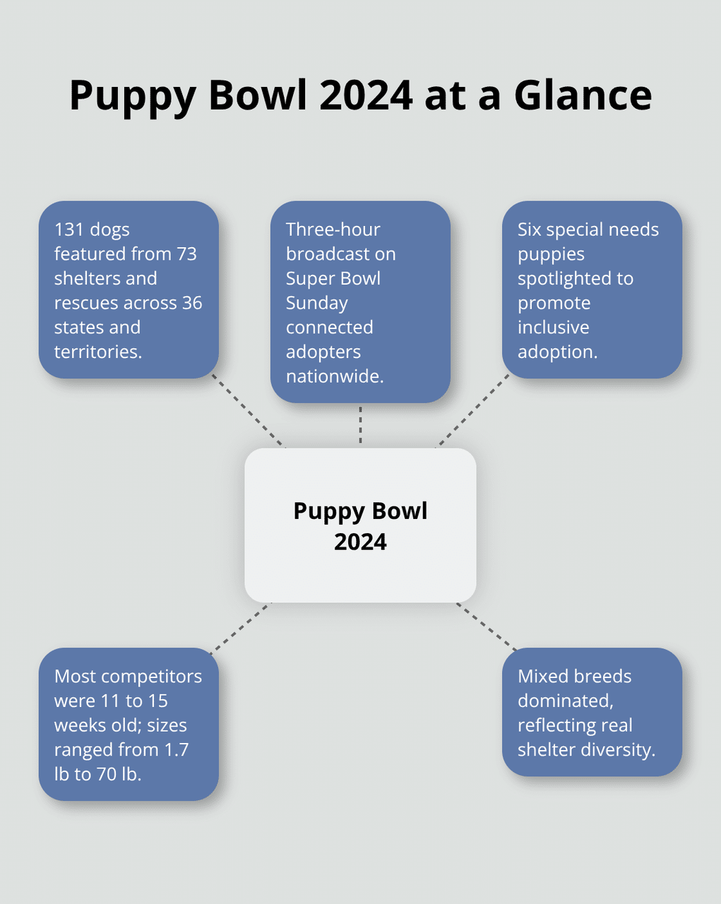 미국 입양자를 위한 Puppy Bowl 2024를 요약하는 빠른 통계 - Puppy Bowl 2024 입양 목록