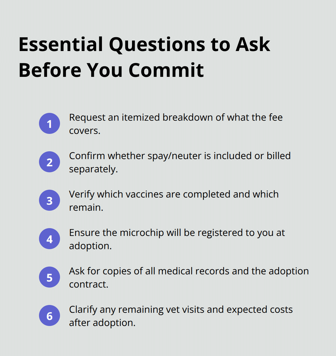 Puppy Haven Rescue から養子縁組する前に確認すべき重要な質問のコンパクトなチェックリスト - Puppy Haven Rescue の養子縁組料金