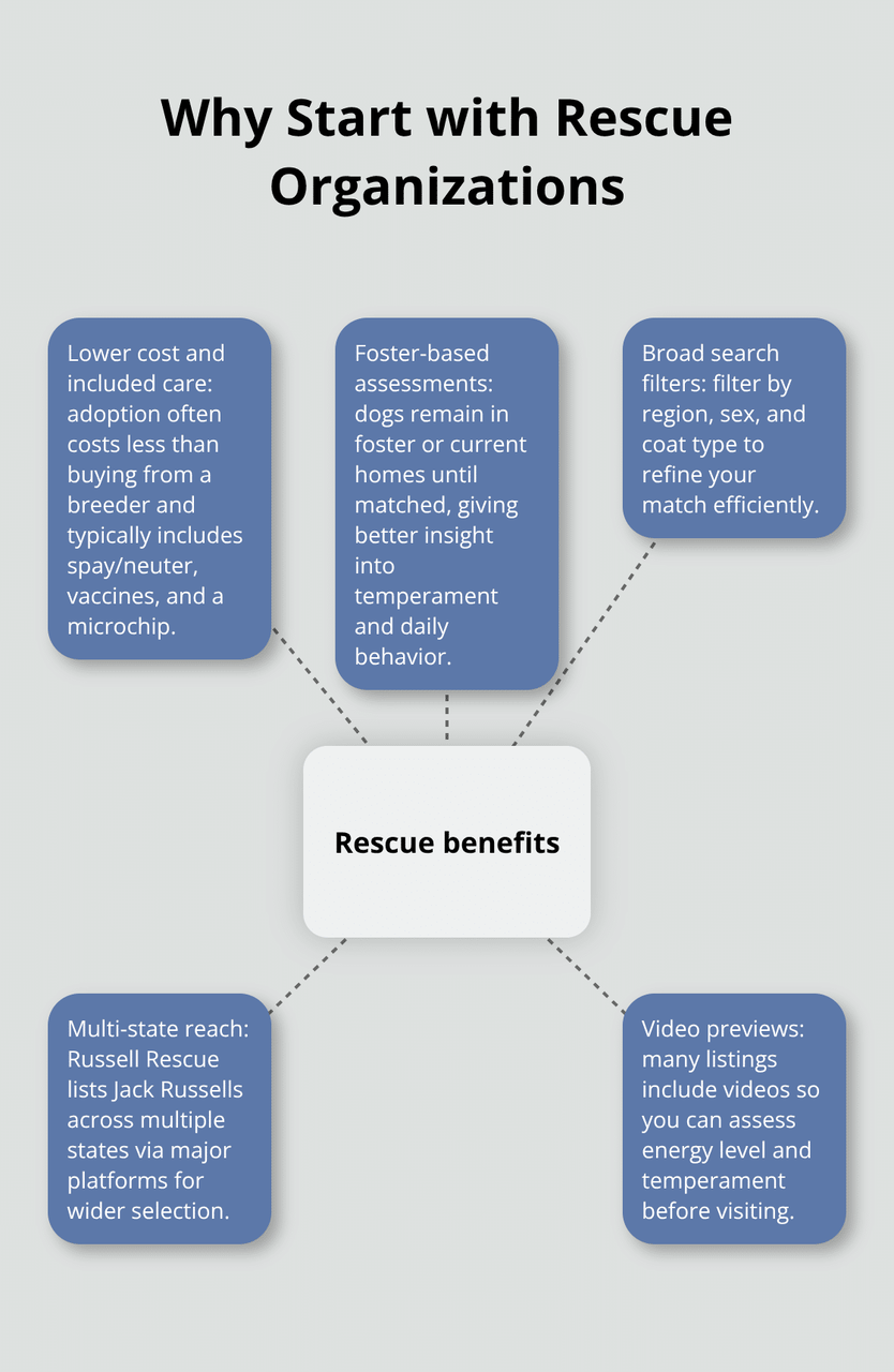 米国でジャック・ラッセル・テリアを保護団体を通じて引き取る主な利点 - ジャック・ラッセル・テリアの子犬の引き取り