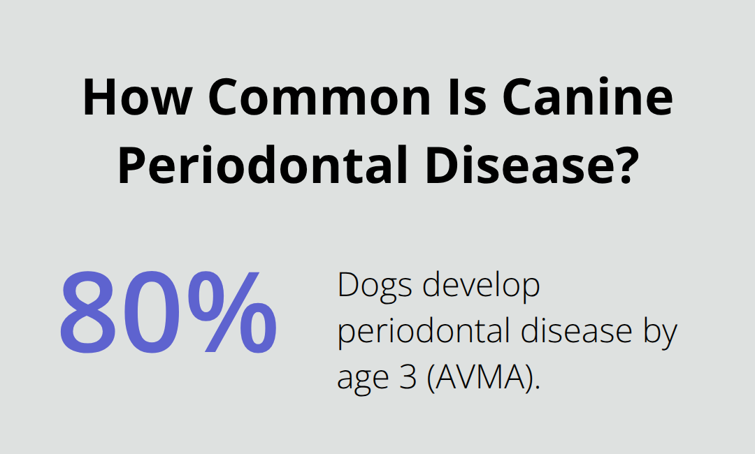 米国では犬の 80% が 3 歳までに歯周病を発症することを示すインフォグラフィック - 犬のデンタルケア
