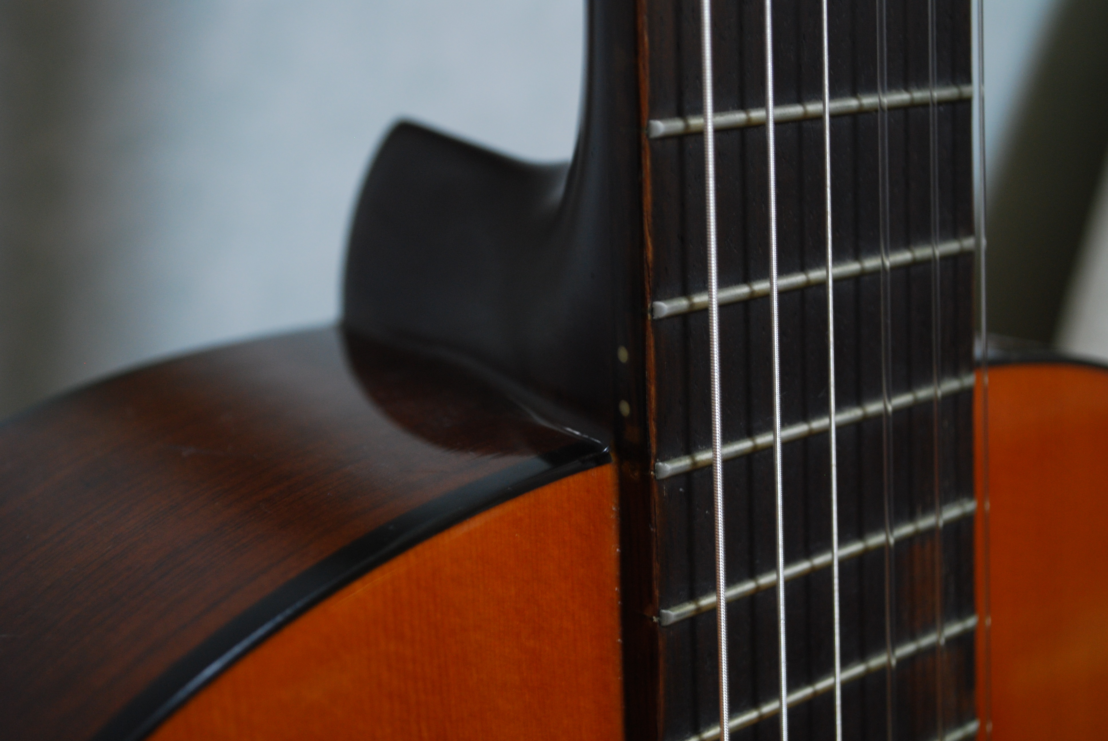 Morris MC-100 マイファーストギター : Stone ＆ A Hard Place