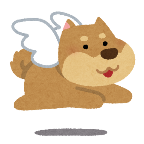 fantsy_haneinu