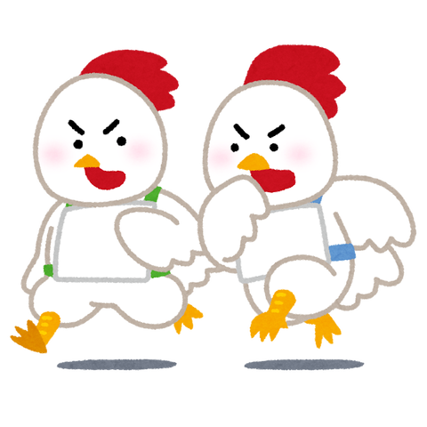chicken_race_niwatori (2)