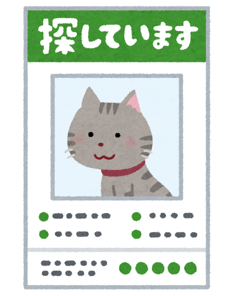 yukuefumei_pet_cat