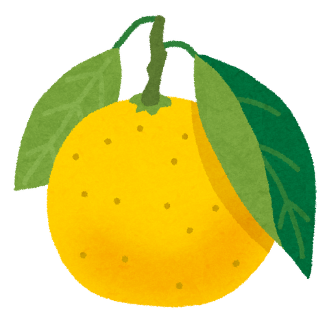 fruit_hyuuganatsu