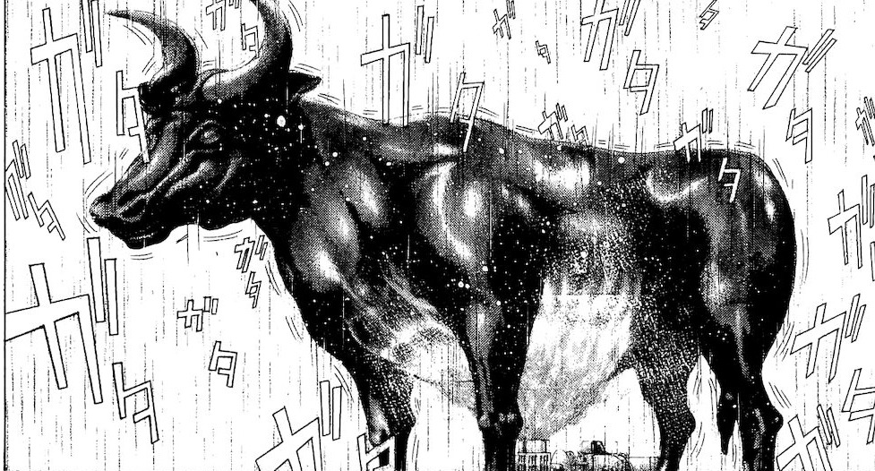 イルノカムの雄牛