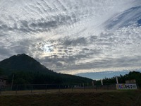 IMG_5339