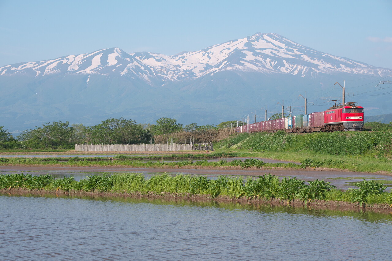 絶景の鳥海山をバックにEF510貨物、E653系いなほ : リョウタンPP