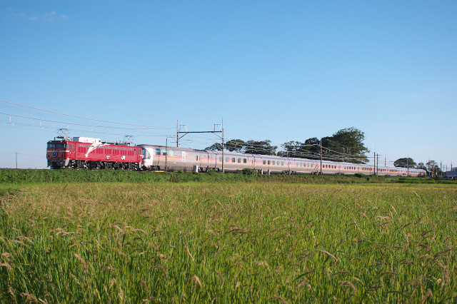 DSC_1118