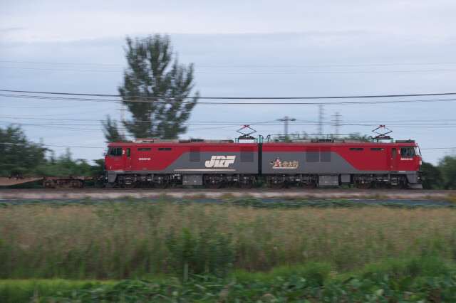 DSC_3134