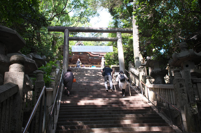 DSC_9912.jpg