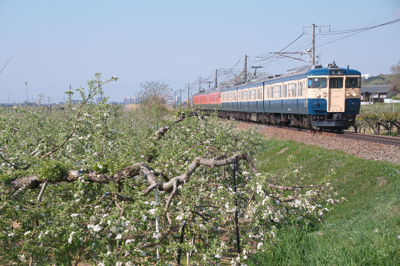 スカ色＋湘南色による115系併結運転 : リョウタンPP