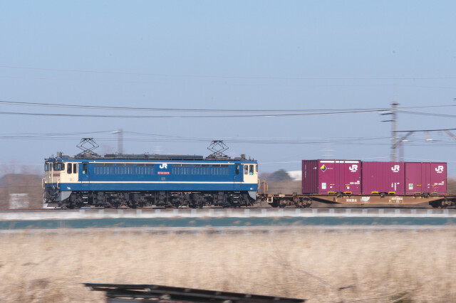 DSC_9906