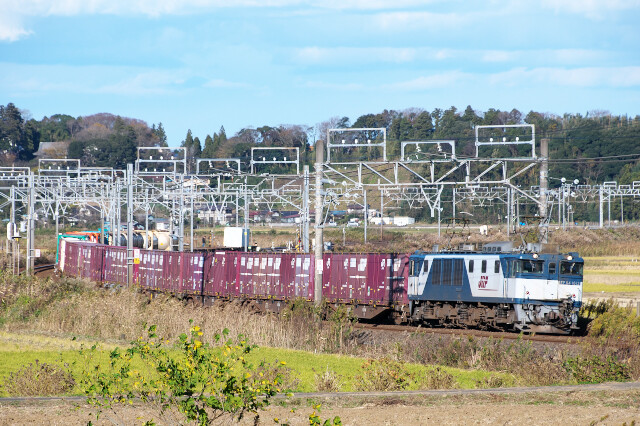 EF64-1013+貨物20201128佐倉-物井3