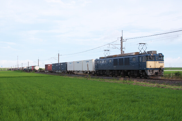 DSC_8940