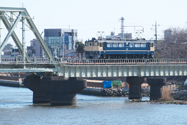 DSC_1499