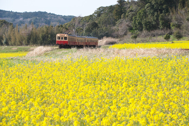 21 鉄道撮影 リョウタンpp