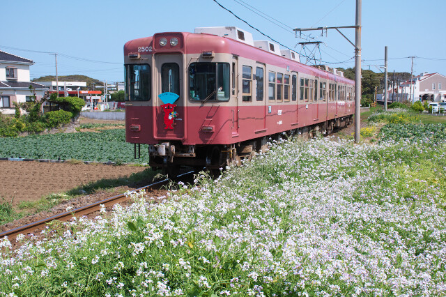 銚子電鉄2000形20200429犬吠-外川3