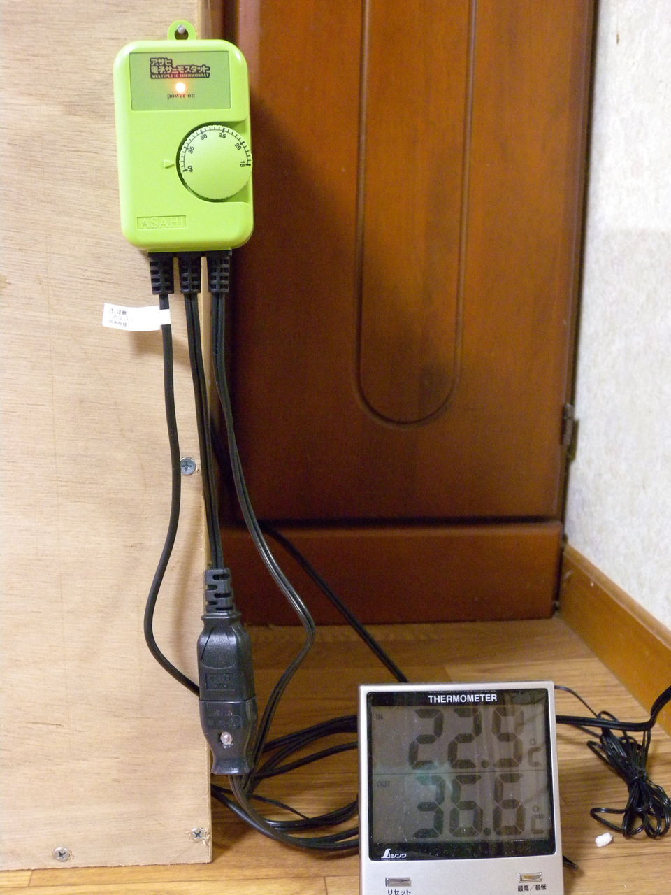 本日の自作孵卵器 セレナとおちゃんのブログ