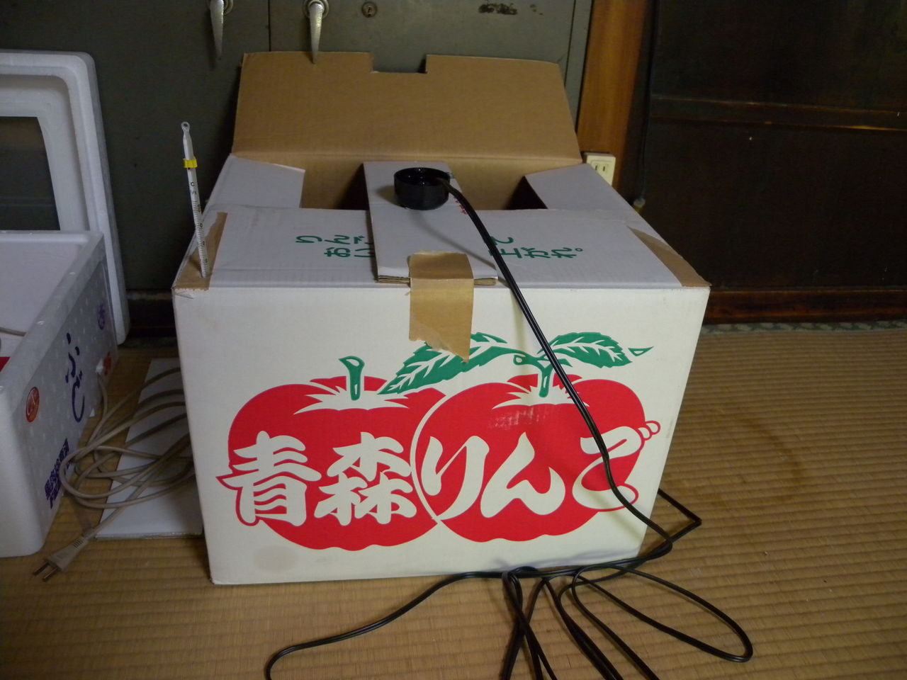 育雛箱 を作りました セレナとおちゃんのブログ 育雛箱 を作りました セレナとおちゃんのブログ