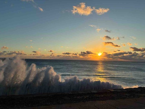 IMG_3313