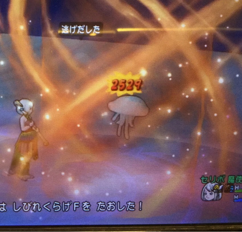 検証 ダメージ ベルトと宝珠のダメージ は加算されるのか 断念 せ せ せ せりぽるてぃあ 北半球no 4ブログ