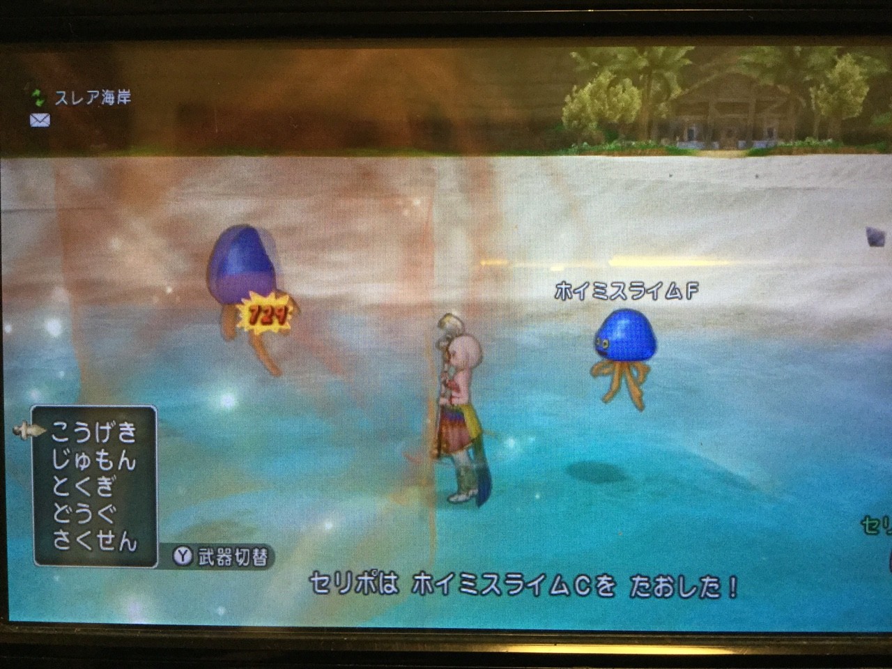 検証 ダメージ ベルトと宝珠のダメージ は加算されるのか 断念 せ せ せ せりぽるてぃあ 北半球no 4ブログ