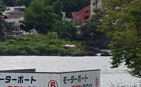 20180707_160049