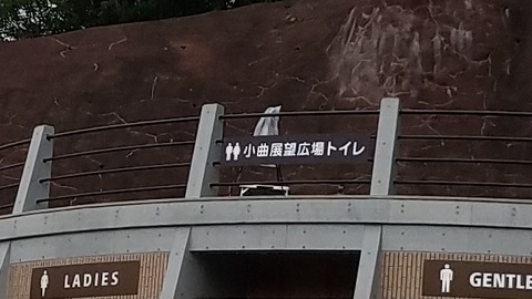 20180707_1706192