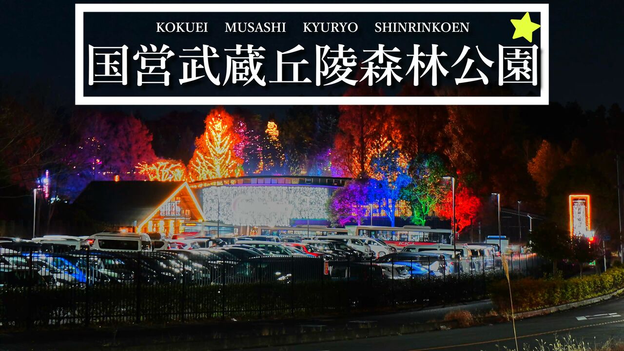 森林公園で散歩 21年集大成のスターライトイルミネーション