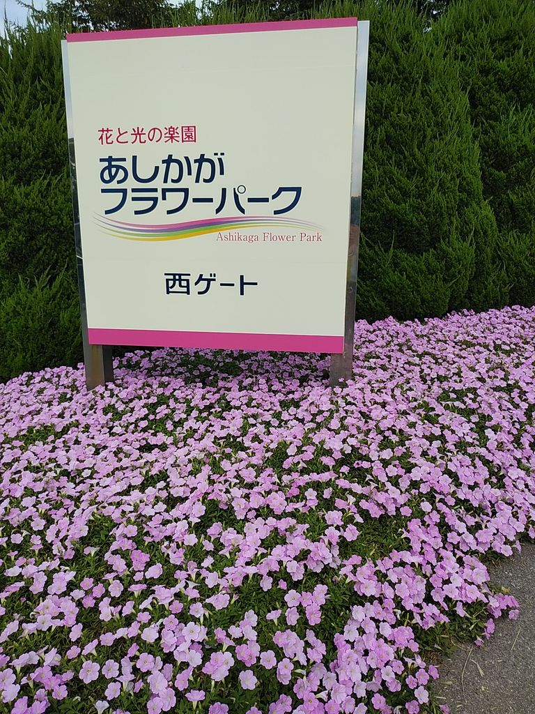 あしかがフラワーパークの夏祭り2018 おなかへった