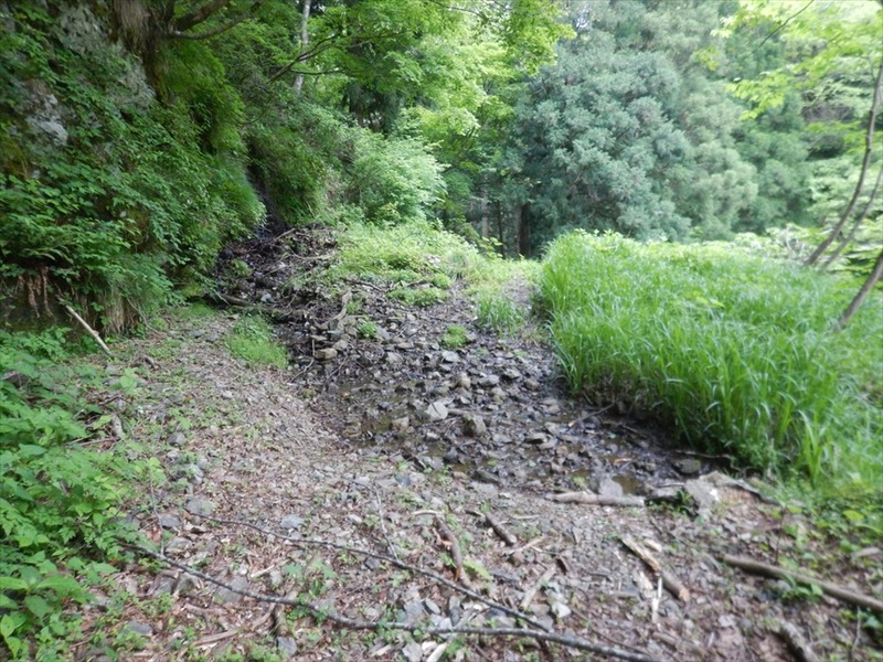 DSCN5901_R