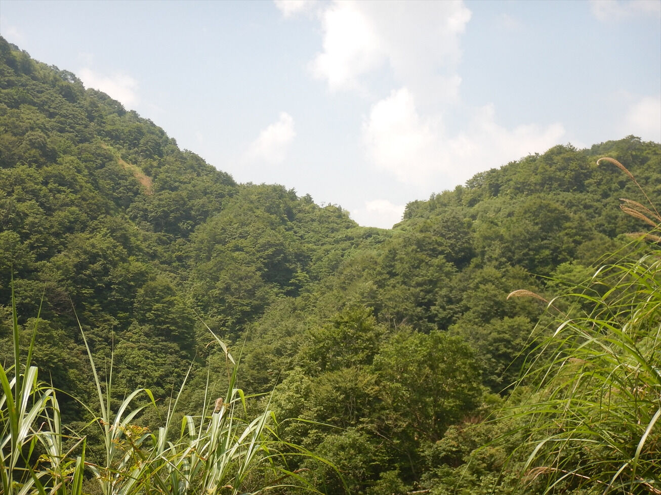 塚林道と冠山林道 高倉峠へは工事中 たまごろうの日記 塚林道と冠山林道 高倉峠へは工事中 たまごろうの日記
