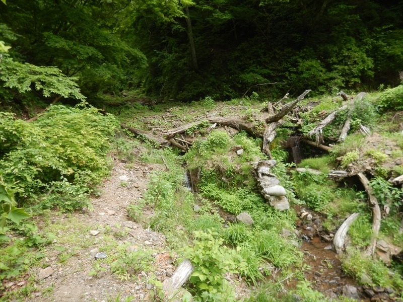 DSCN5904_R