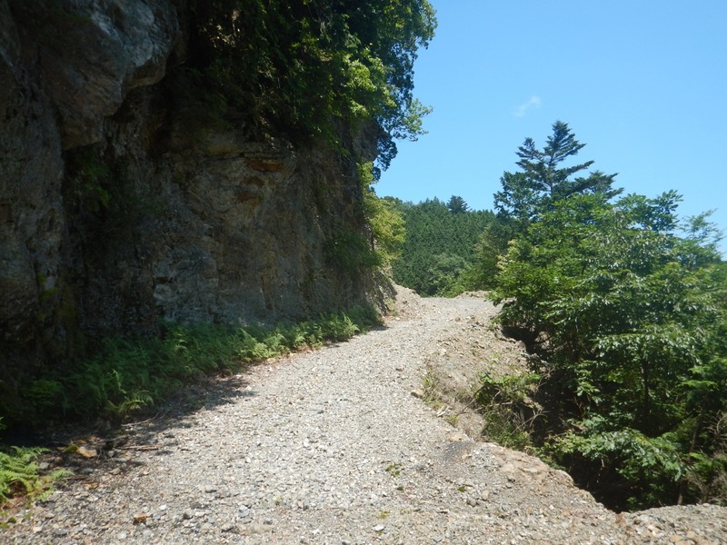 DSCN6058
