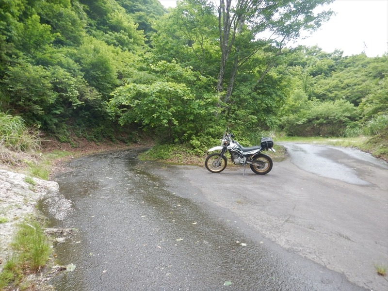 DSCN5974_R