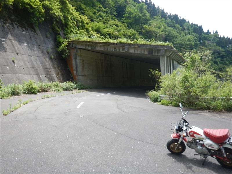 DSCN5924_R