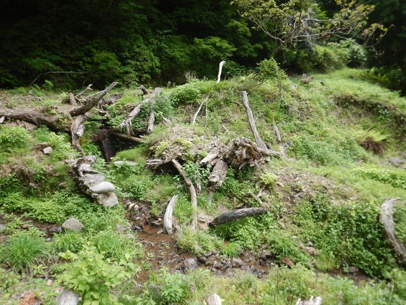 DSCN5903_R