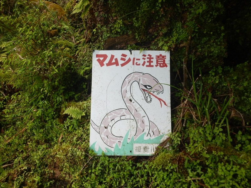 DSCN5955_R