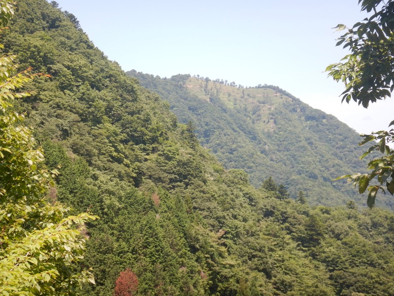 DSCN6054