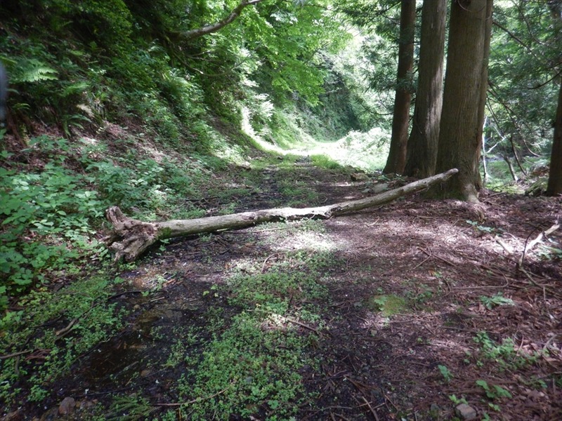 DSCN5899_R