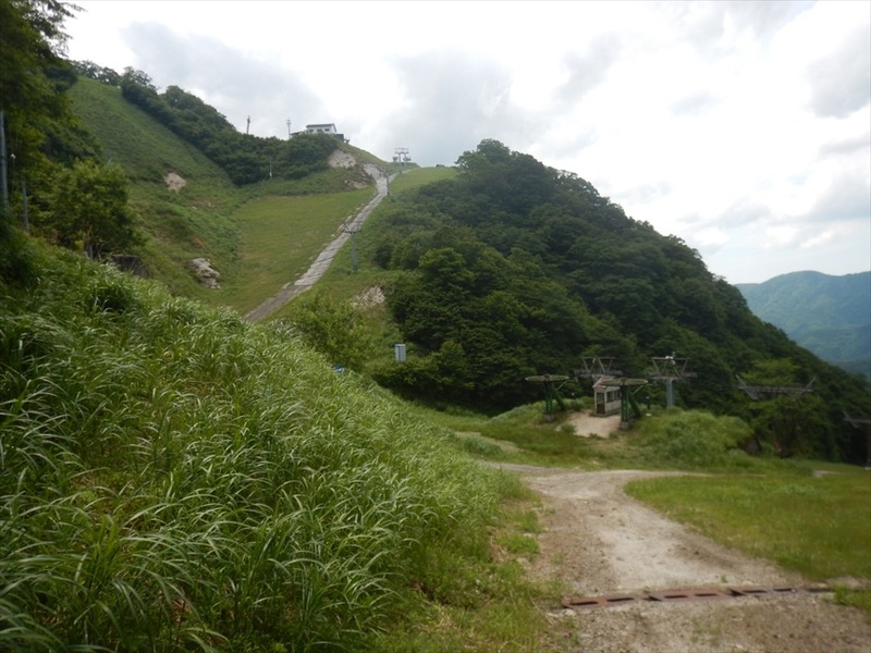 DSCN6006_R