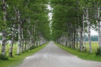 s-P7070936