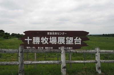 s-P7070937