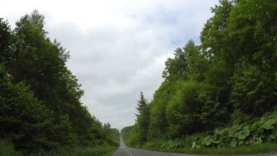 s-S5890041