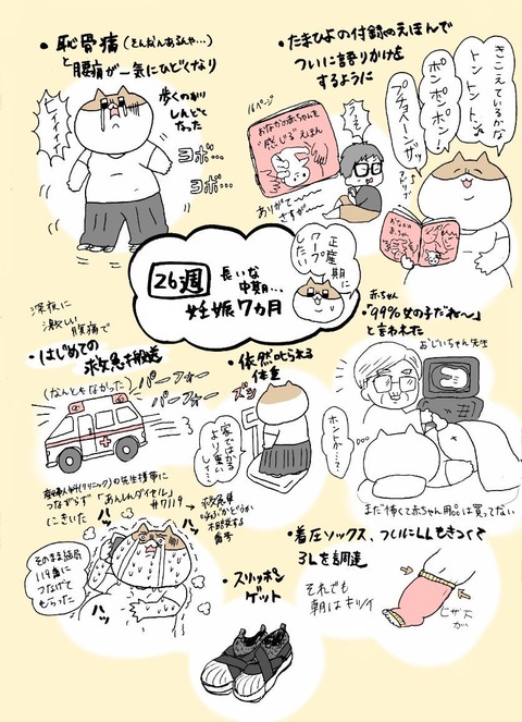 せるこの妊娠記 26週 27週 せるこのもちょもちょ日常記