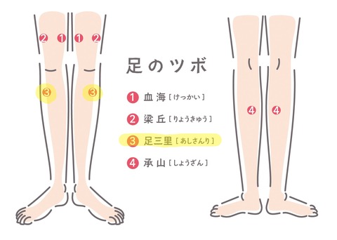 足のツボ 足三里