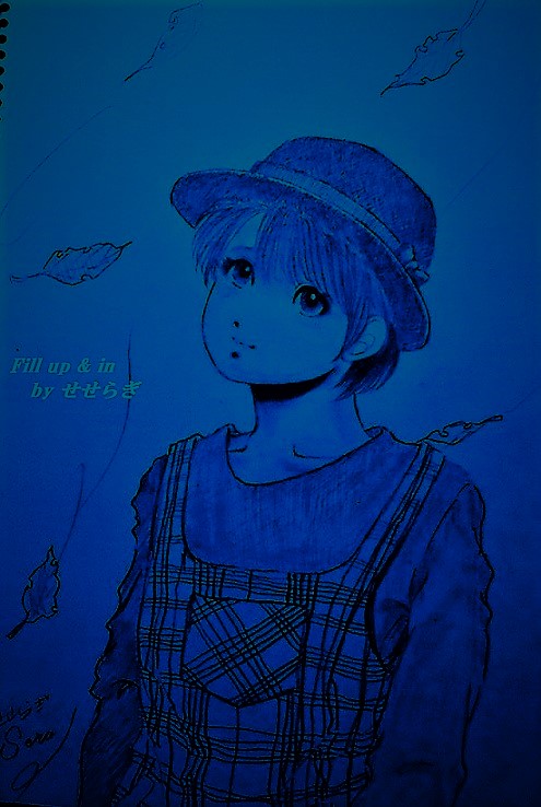 1028 (4)こぴー１sarani00II