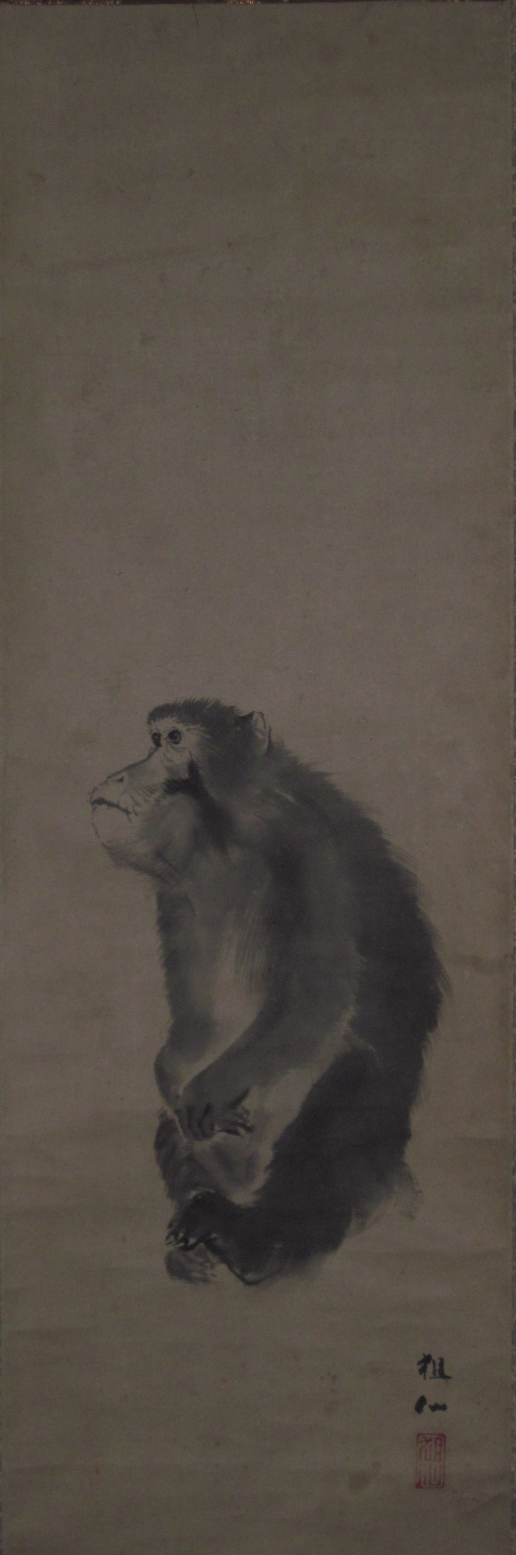 江戸時代中後期【森祖仙(狙仙)】 絹本淡彩 桜に猿 古美術